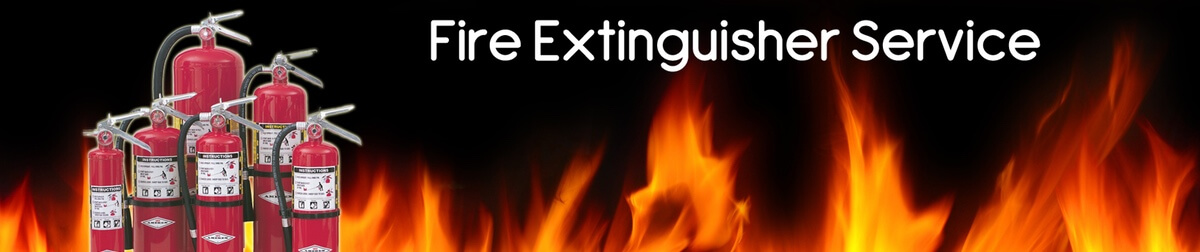 Group of red fire extinguishers in front of flames, banner reading Fire Extinguisher Service